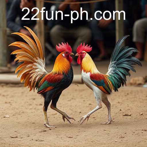 22 fun